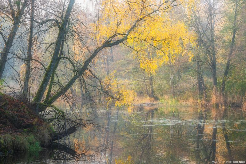 оень, пейзаж, природа, озеро, autumn, landscape, nature  фото превью