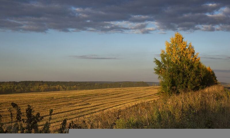 ... фото превью