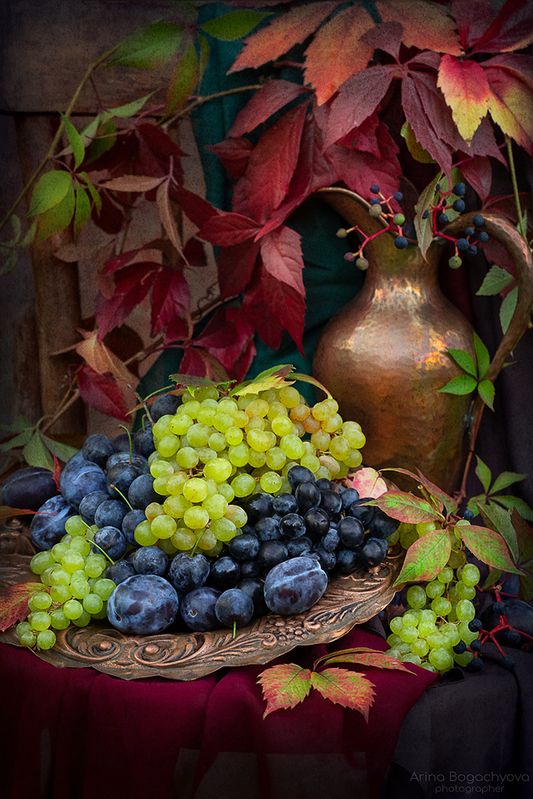 Дачные зарисовки фото превью