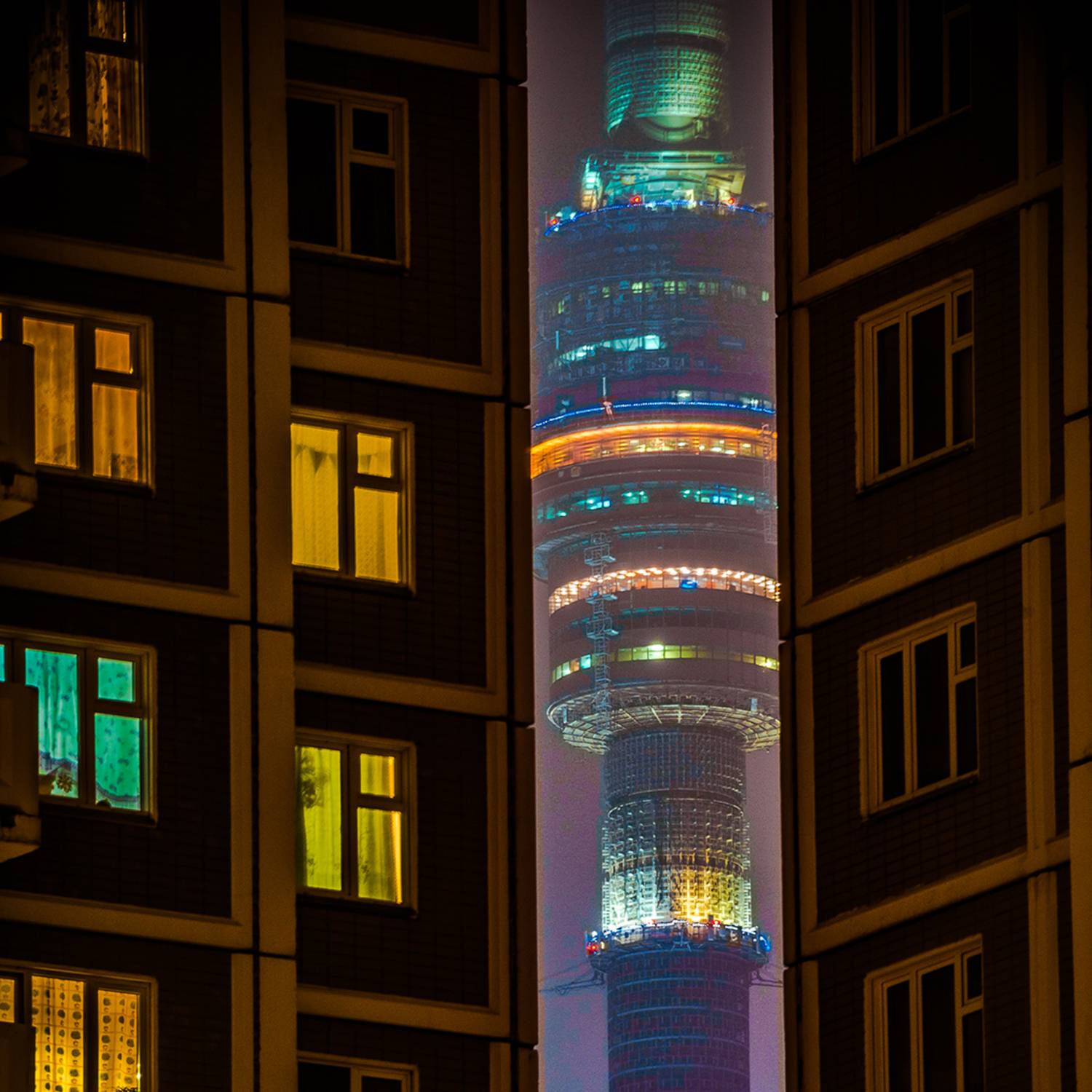 , Трепольский Дмитрий