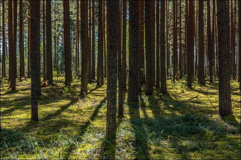 На карстовых озёрах в августе фото превью