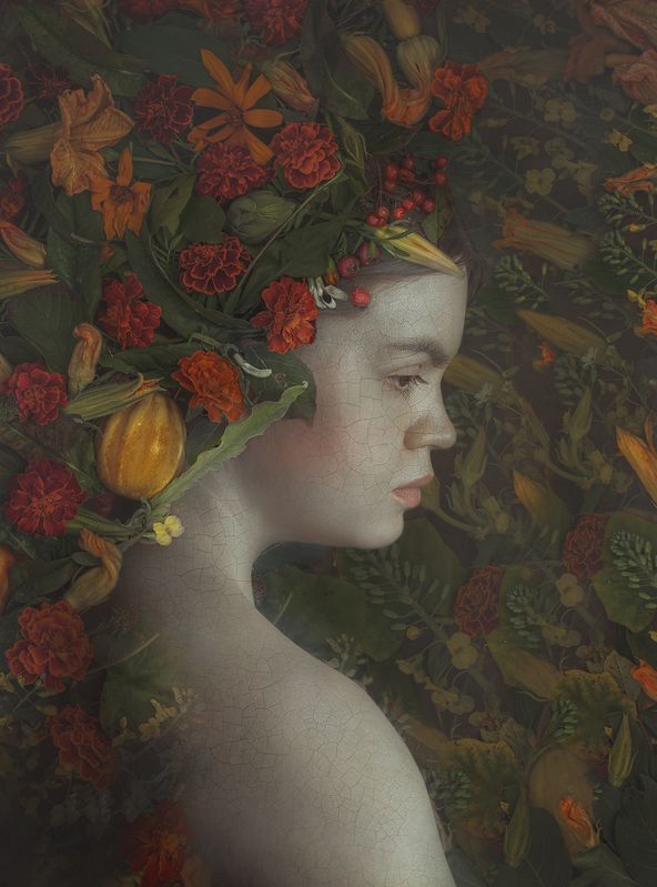 Флора фото превью