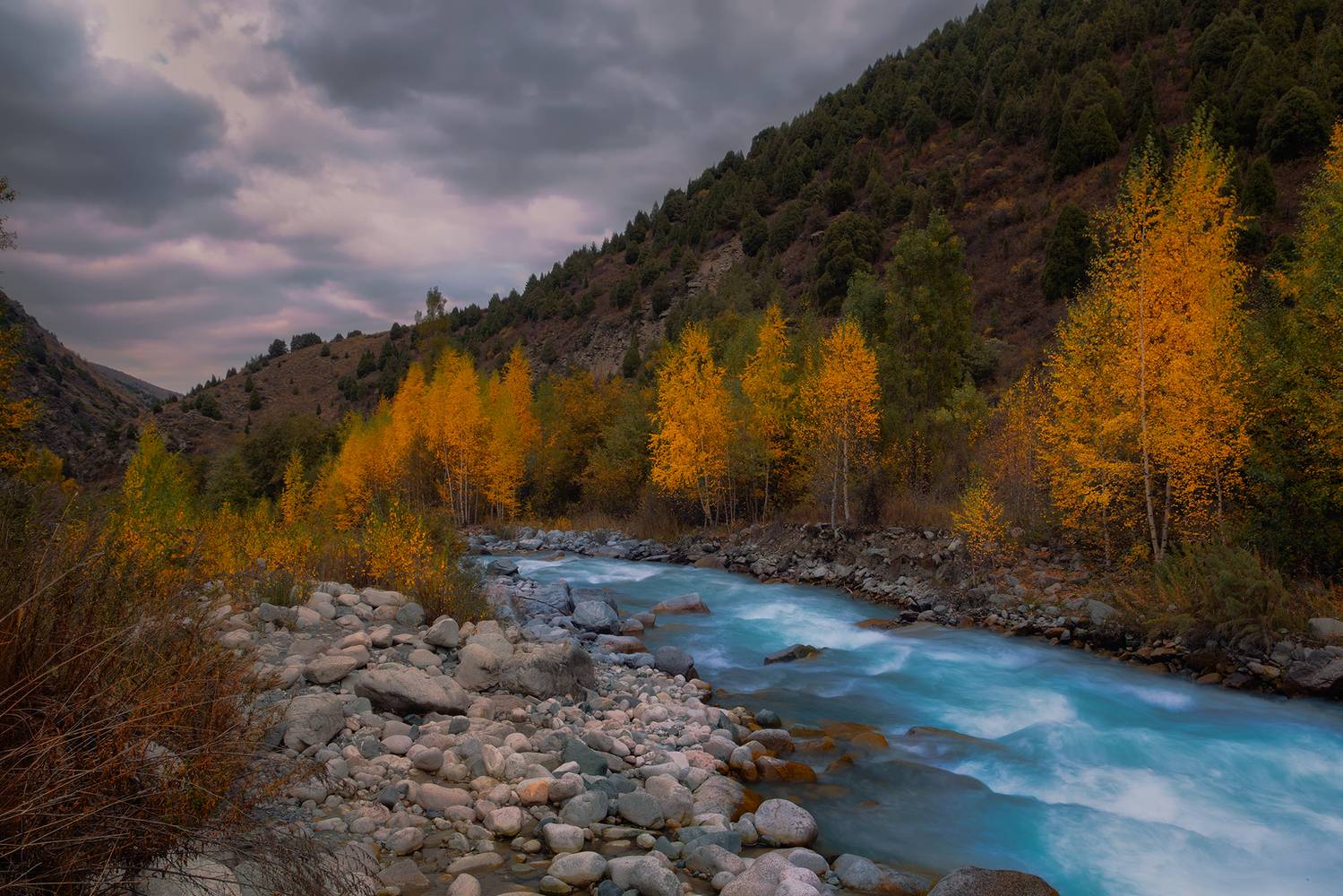 кыргызстан, ала-арча, Элина Магалимова