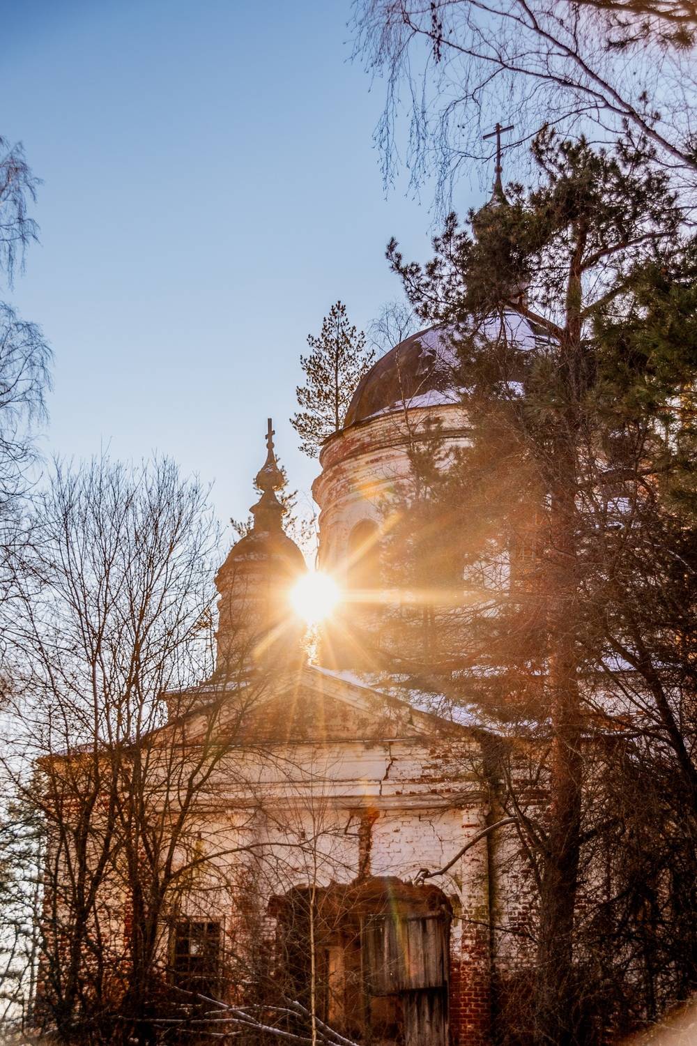 , Елена Ефимова