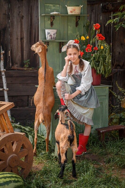 фото превью