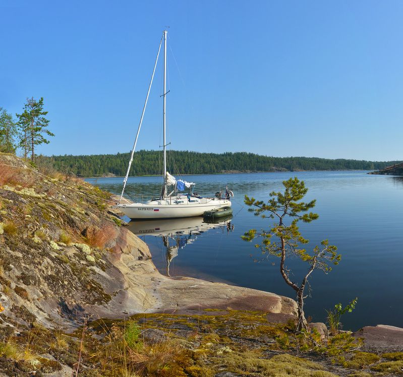 Дивное утро фото превью