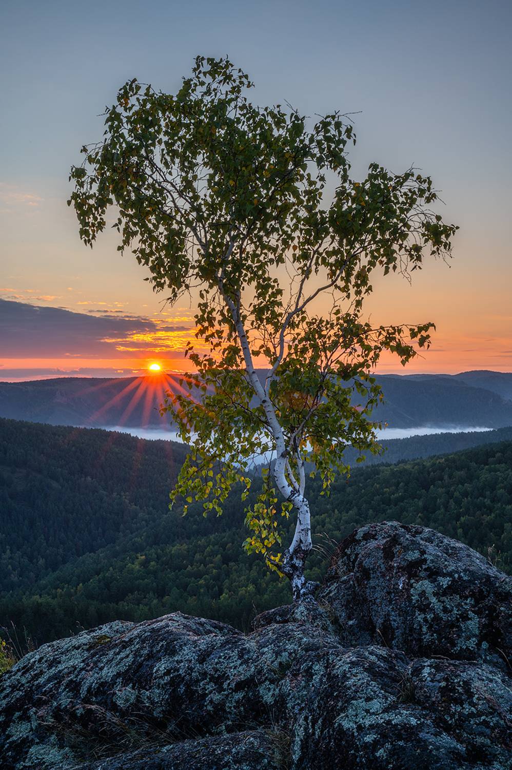 , Михаил Зверев