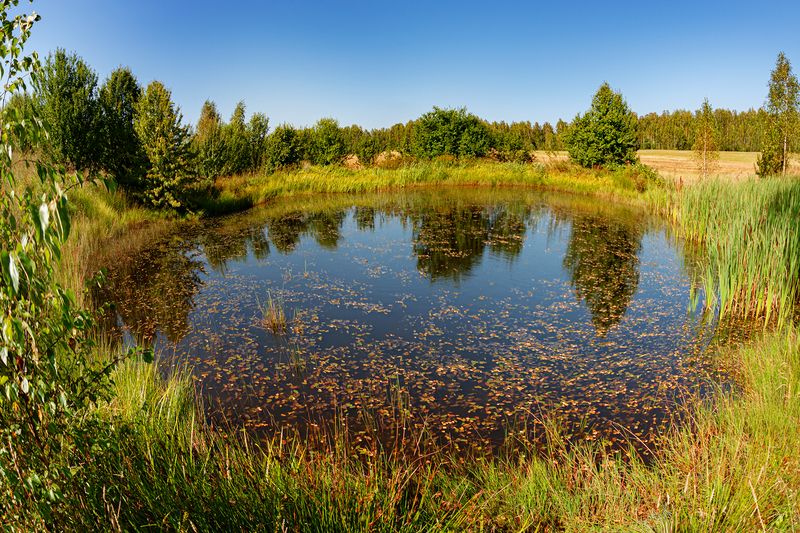 Круглый водоем фото превью