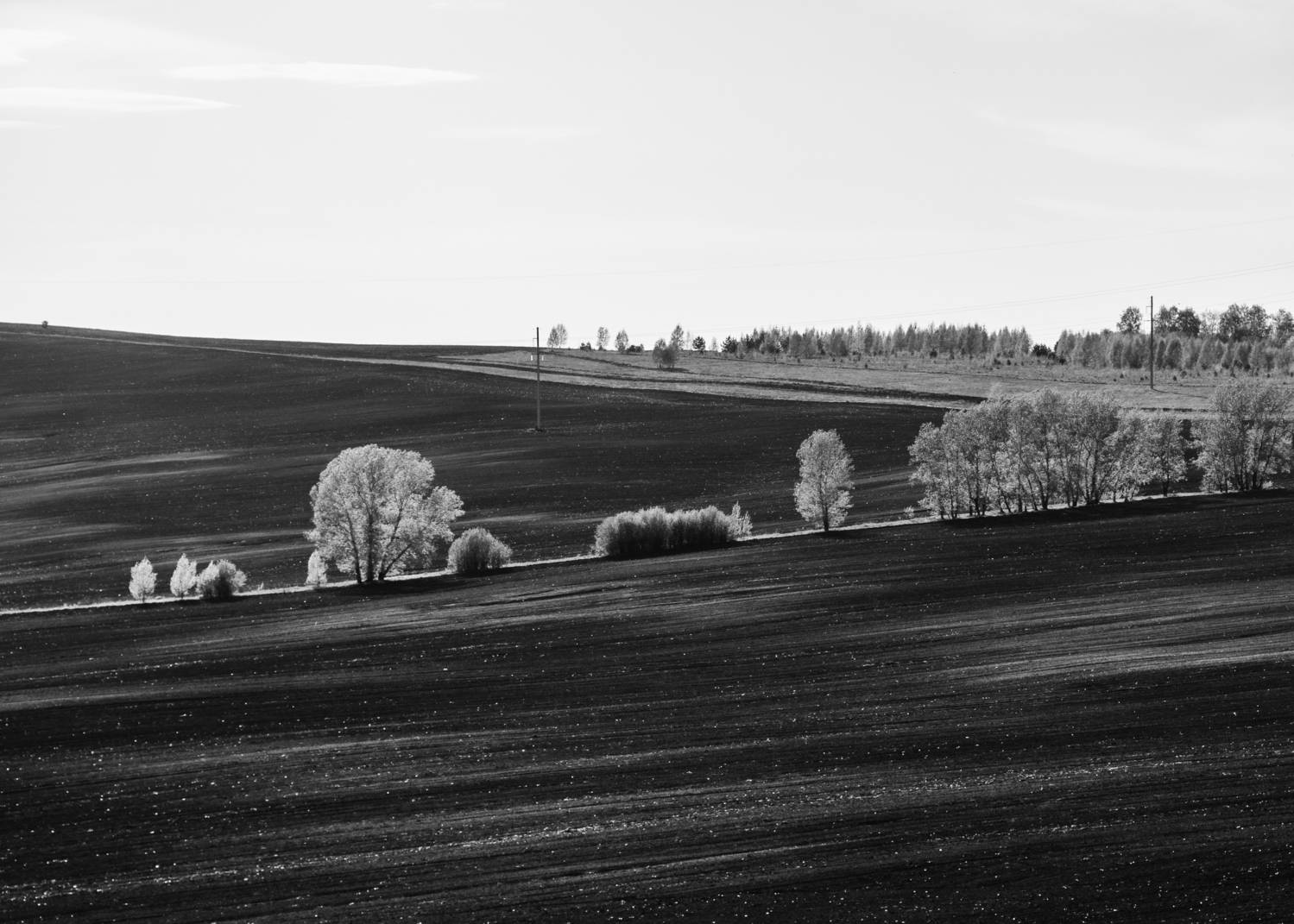 , Андрей Хаймин