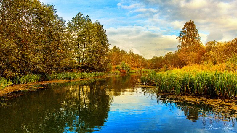 Костромской край: на воде фото превью