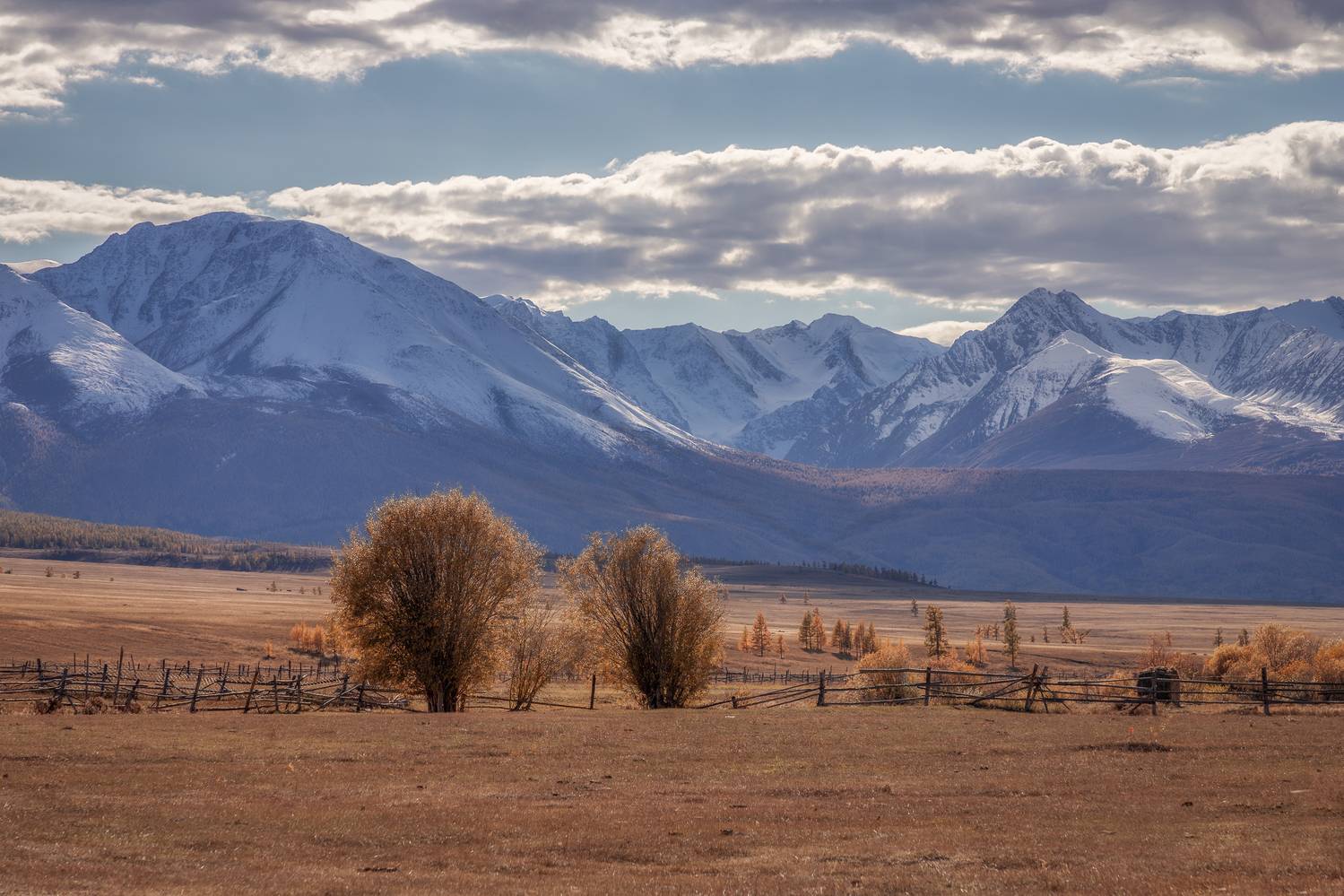 Алтай, Гусева Елена