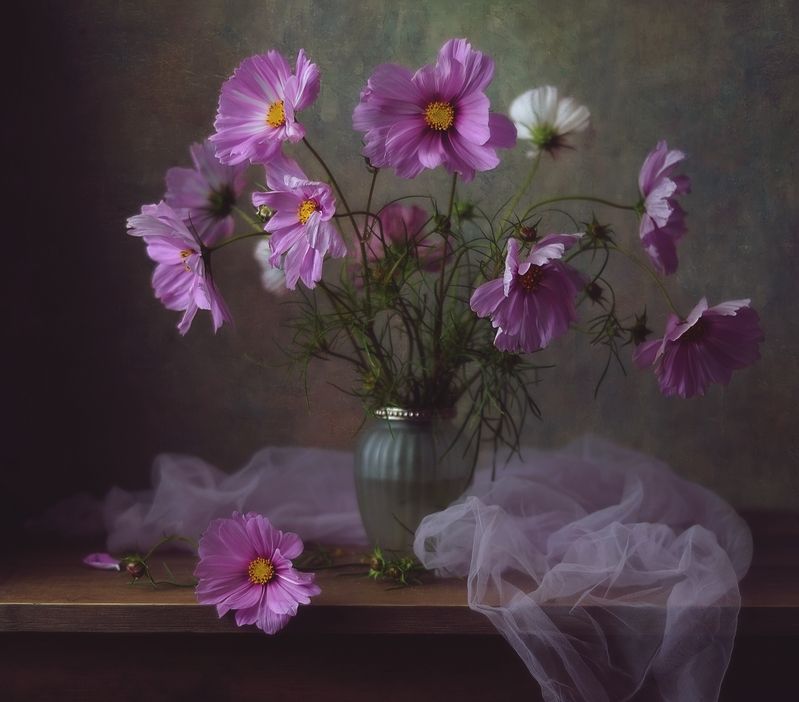 натюрморт,цветы,осень,космея космеи... фото превью