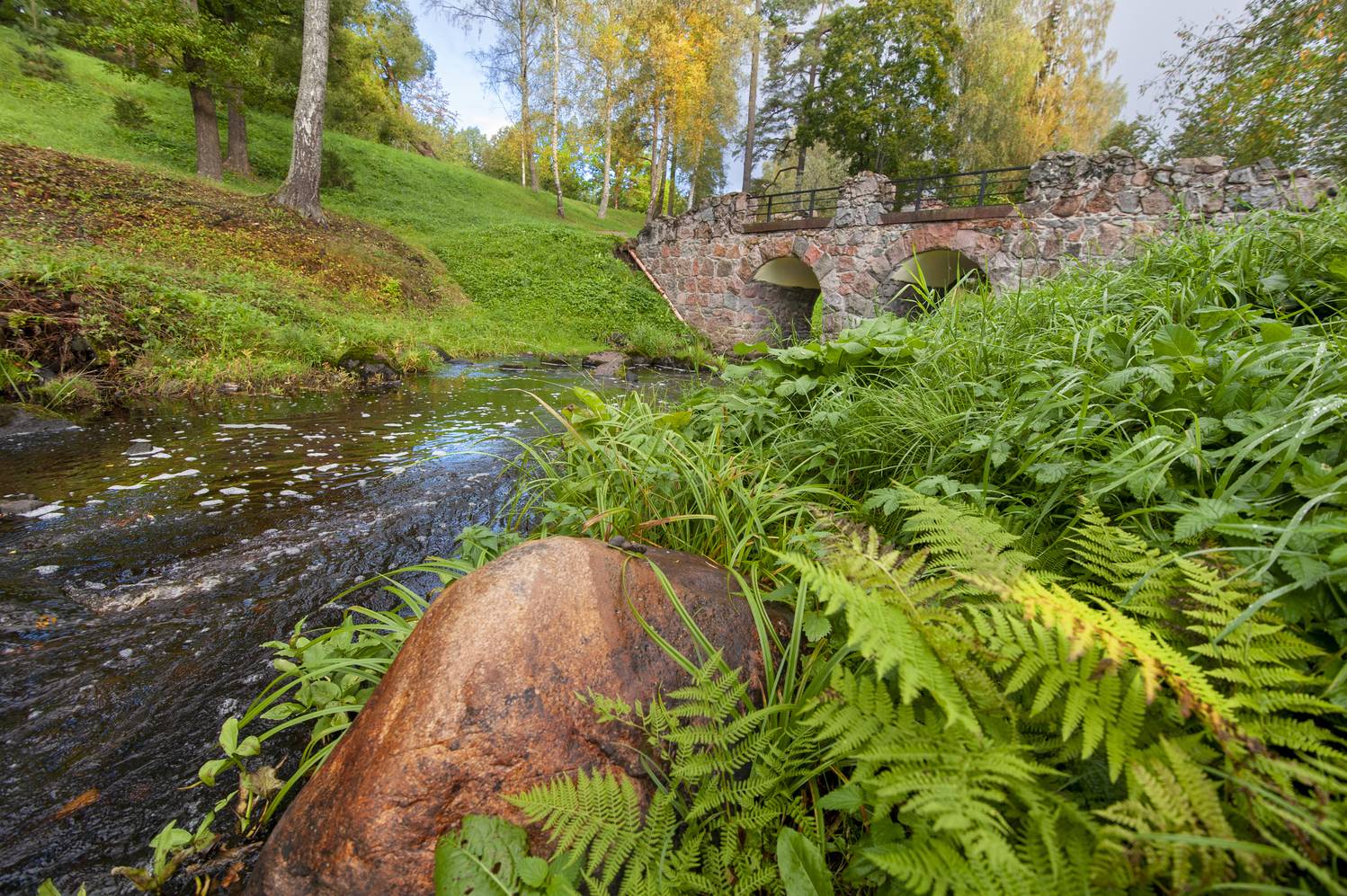 , Георгий Сапожников