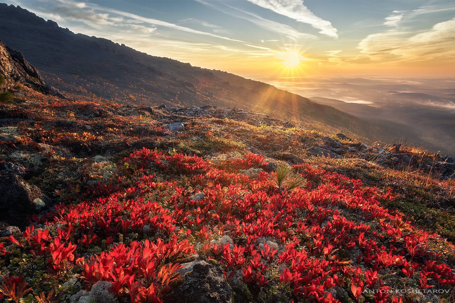 , Антон Кошетаров