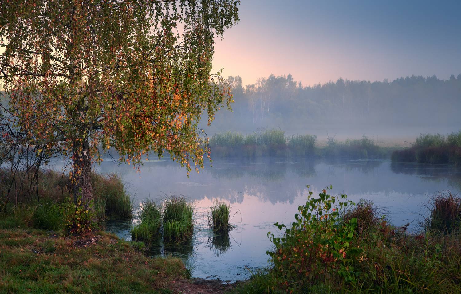 , Роман Лушпа