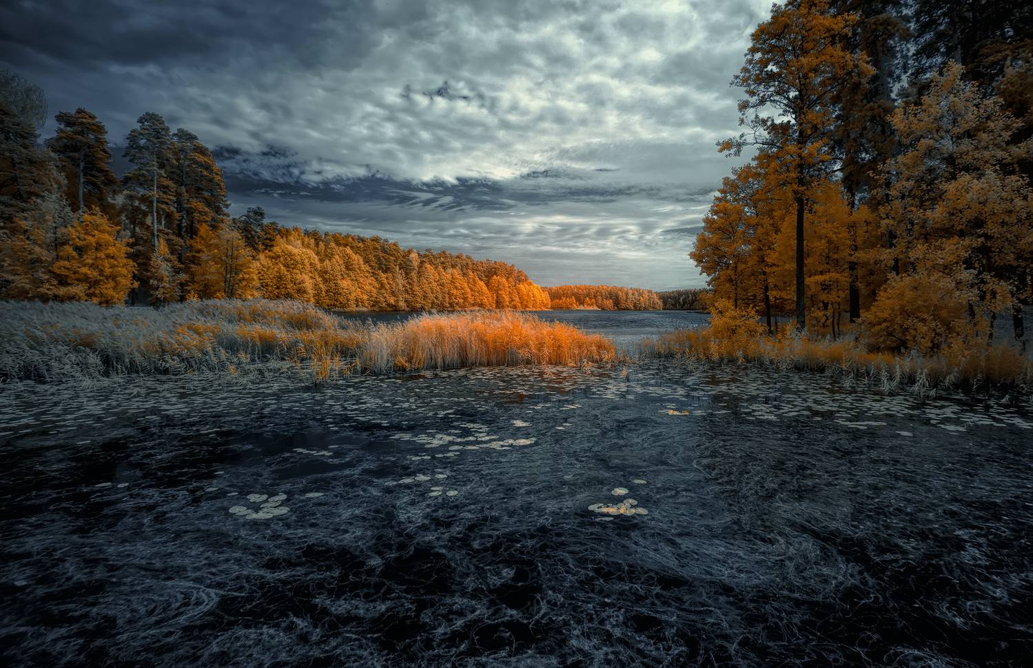 infrared, ик-фото, инфракрасное фото, инфракрасная фотография, пейзаж, осень,  Sixten (Сергей)