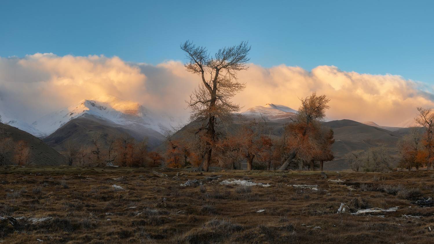 , Мозжухин Максим