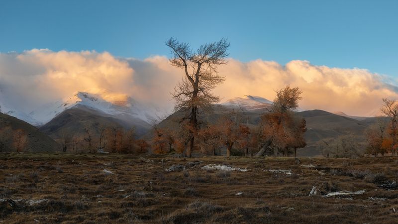 Вечереет. Алтай 2024. фото превью