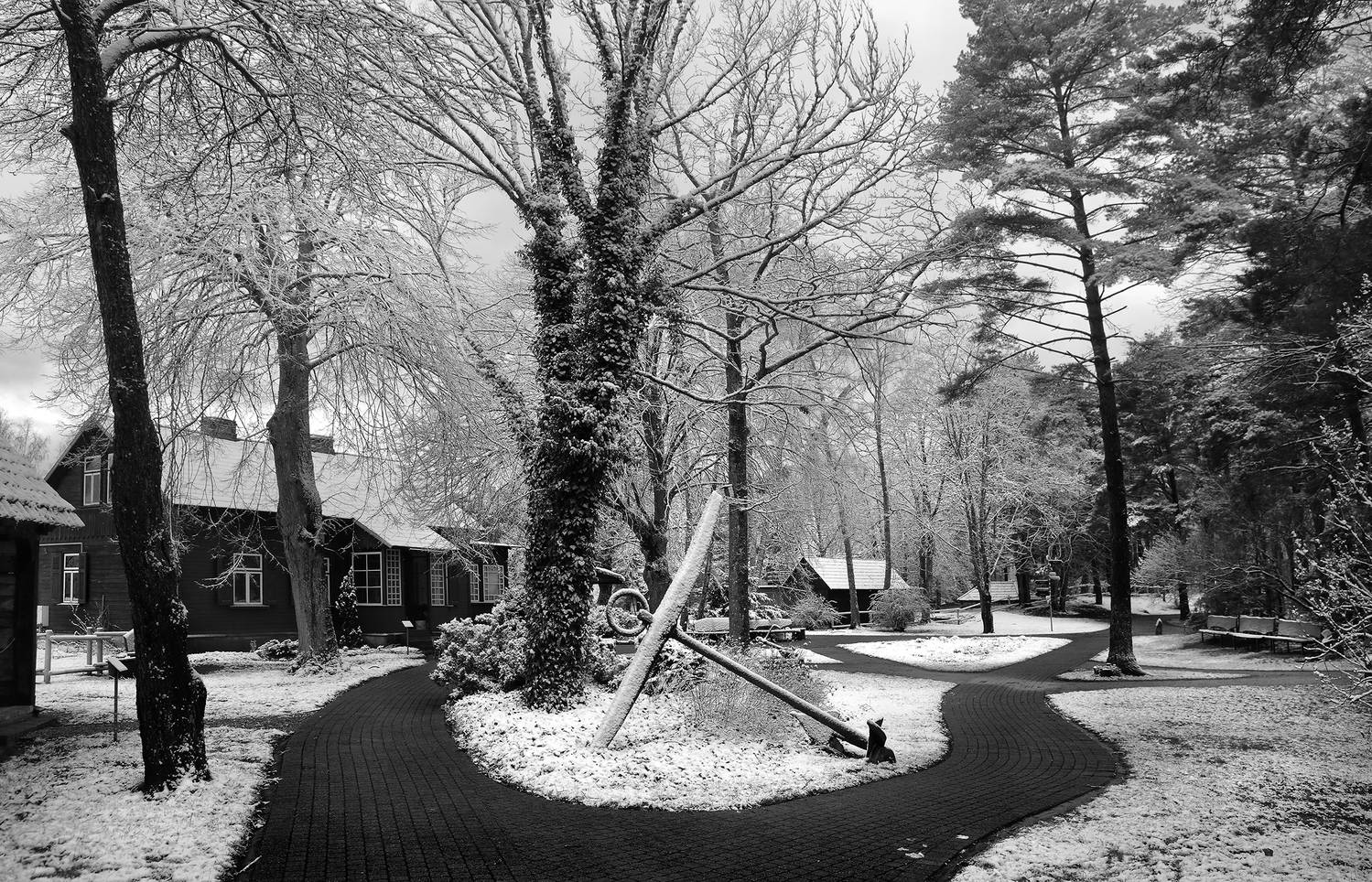 , Arnis Krūmiņ&scaron;