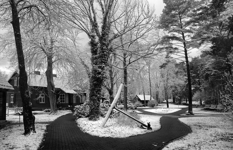 якорь фото превью