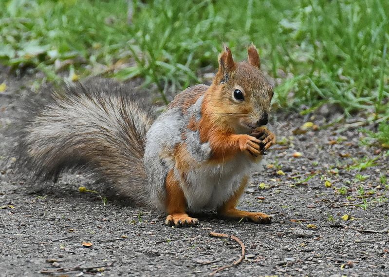 Весна пришла фото превью