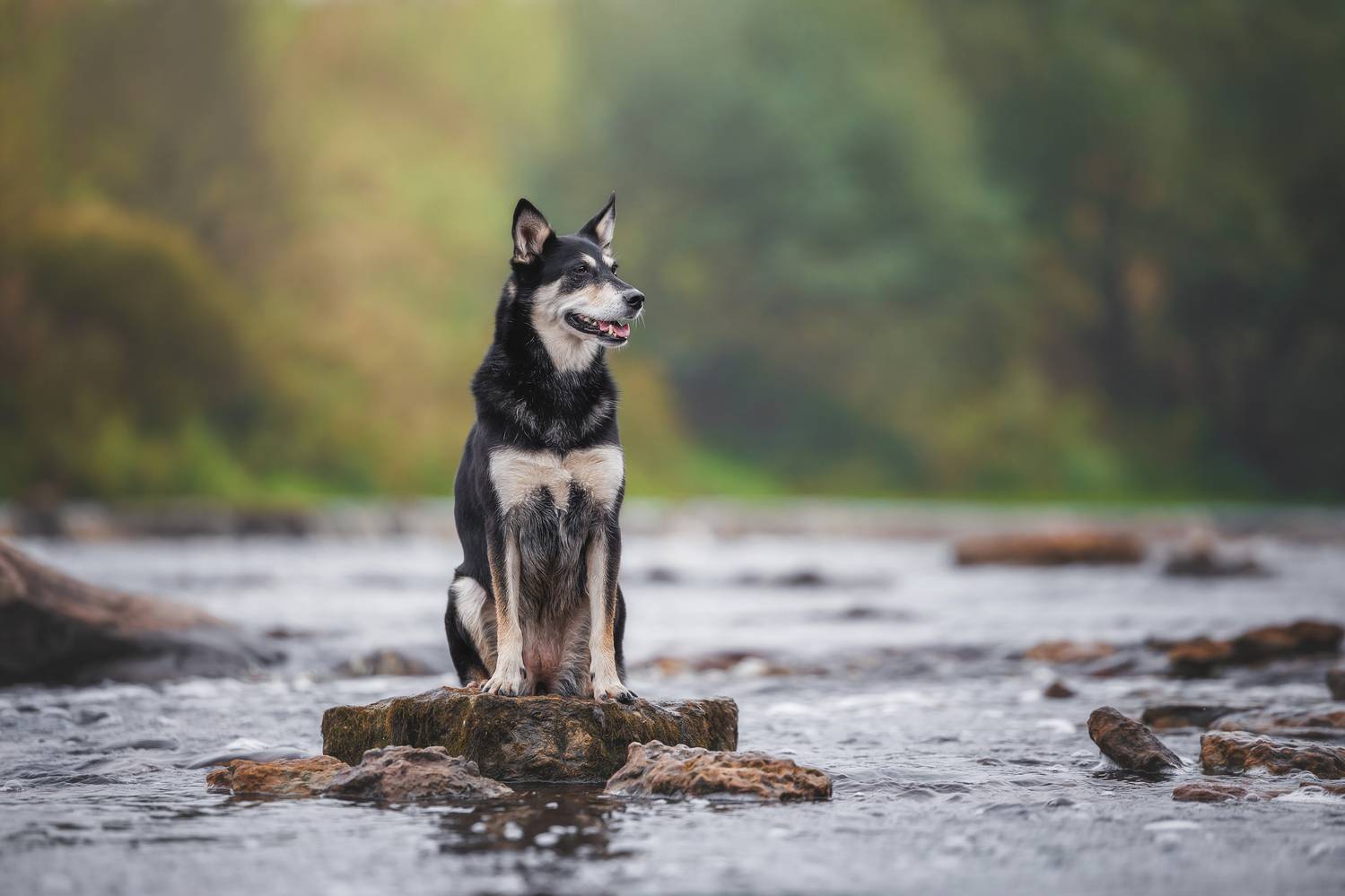 , Яна Нарбутович