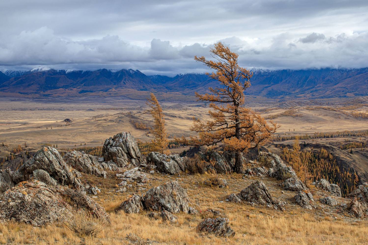 алтай, Добролюбова Тамара