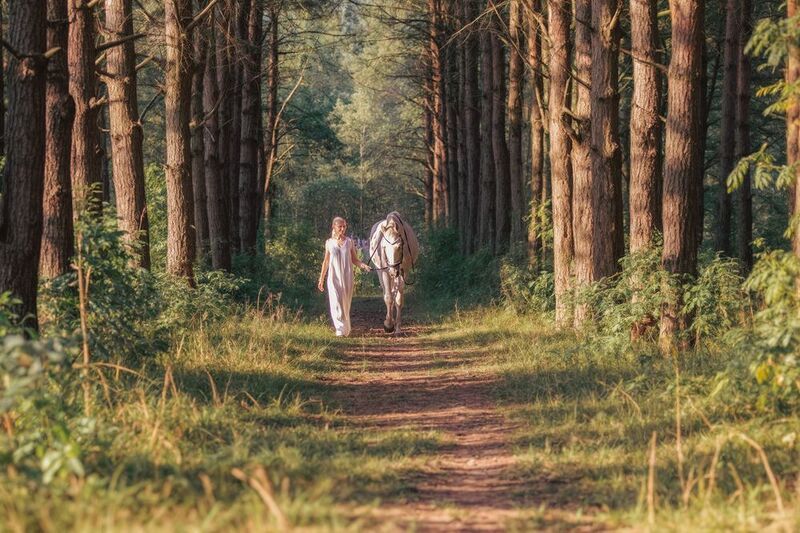 фото превью