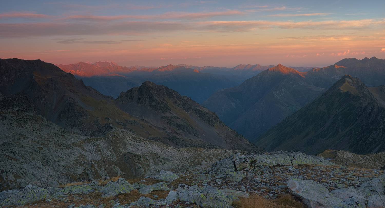 , Wojciech Tarnowski