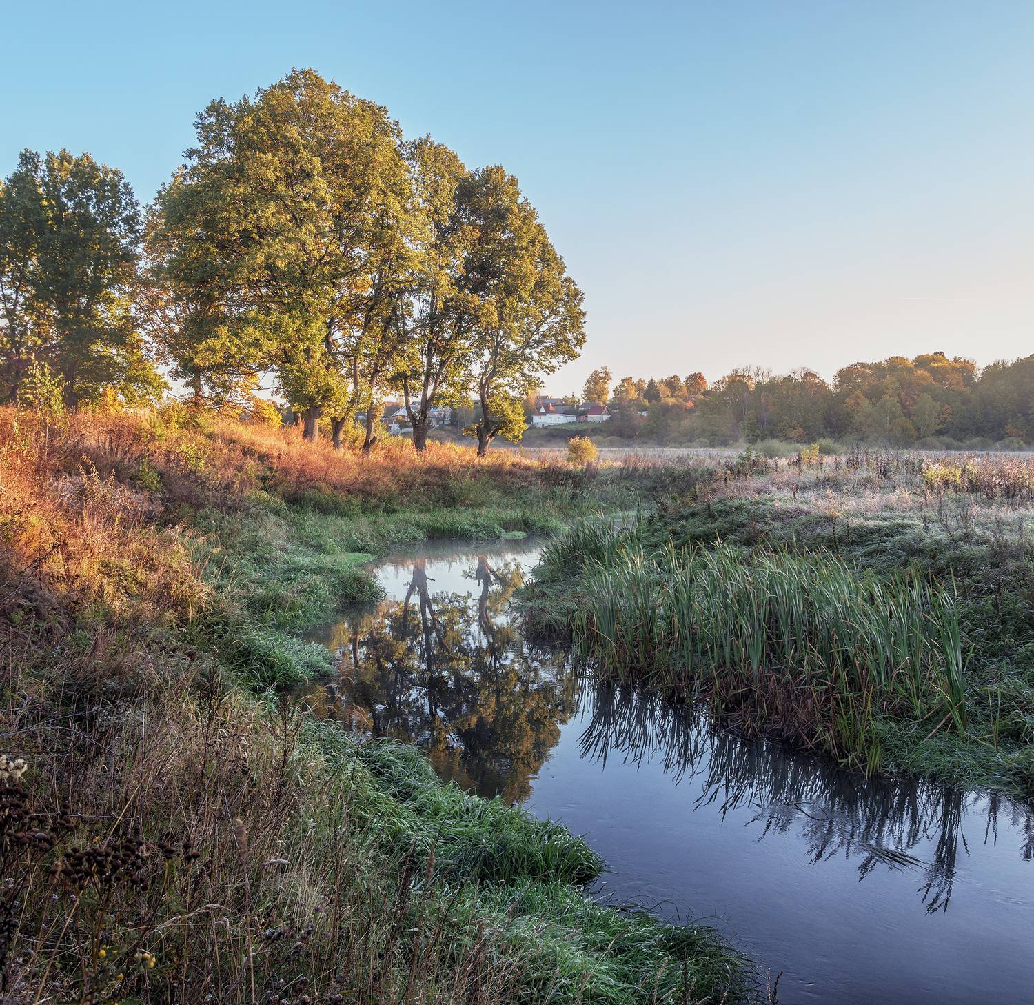 , Андреев Николай