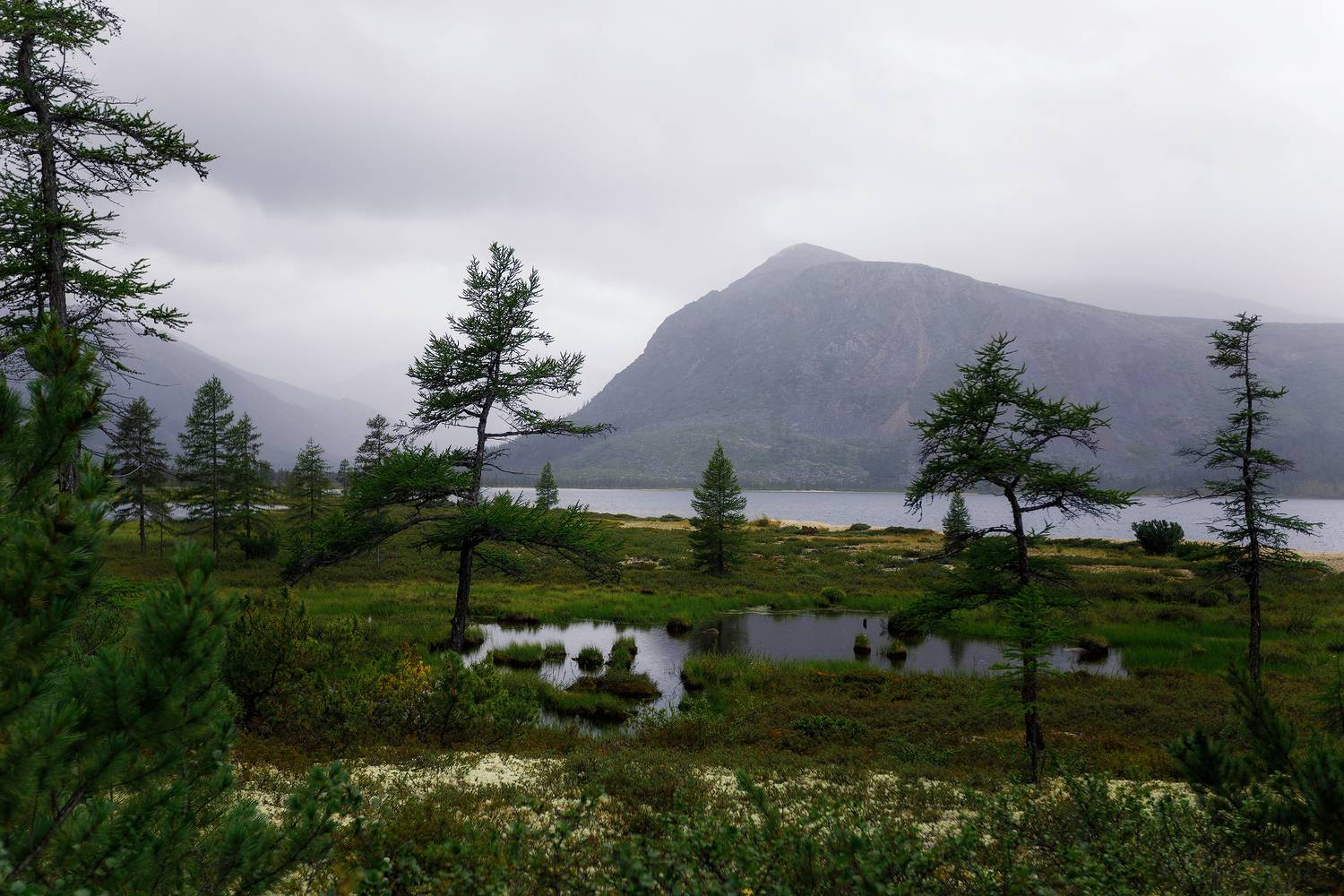 Колыма, озеро Джека Лондона, Владимир Кочкин