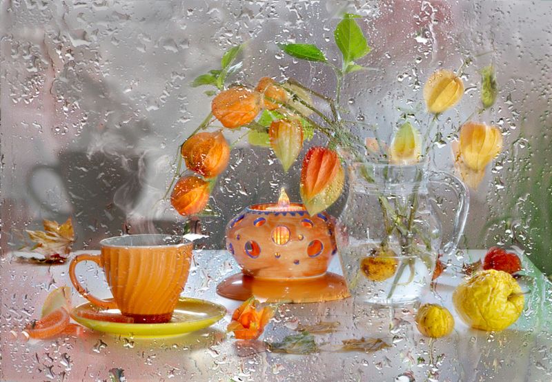 физалис, чашка, яблоко, айва, натюрморт, осень Осенний физалис фото превью