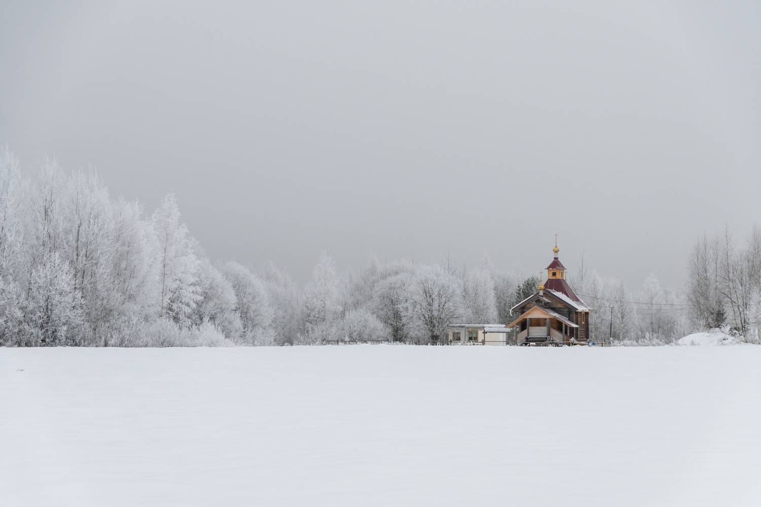 , Елена Ефимова