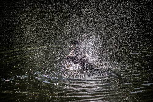 Солнечный ветер