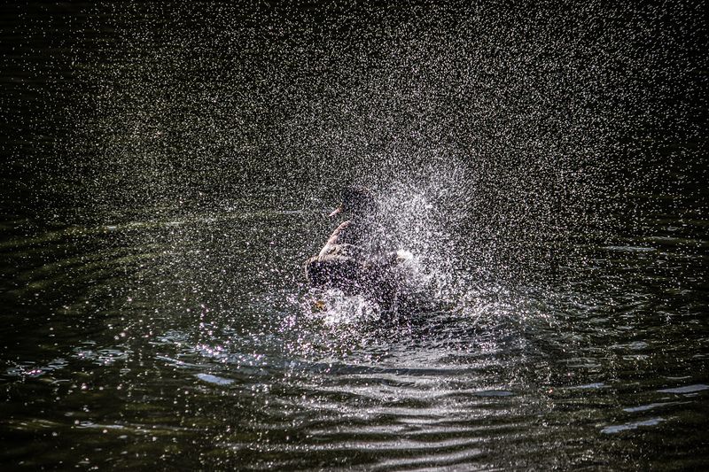 Солнечный ветер фото превью