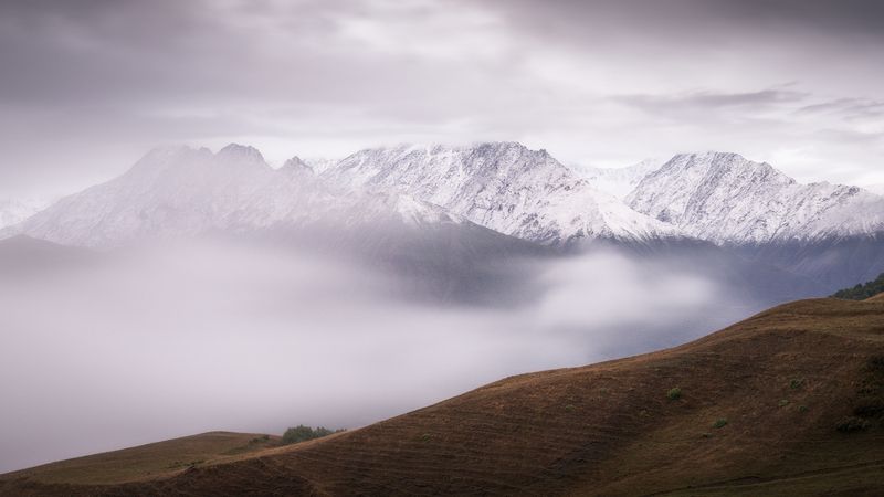 Tsei Loam фото превью