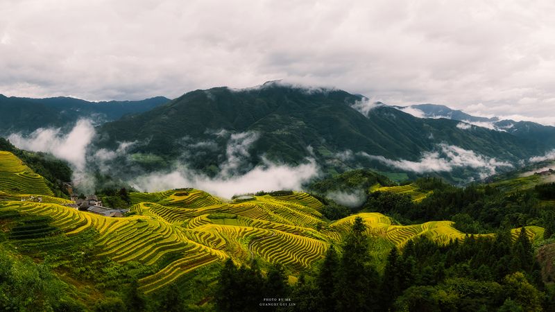 Misty Dragon\\\'s Ridge фото превью