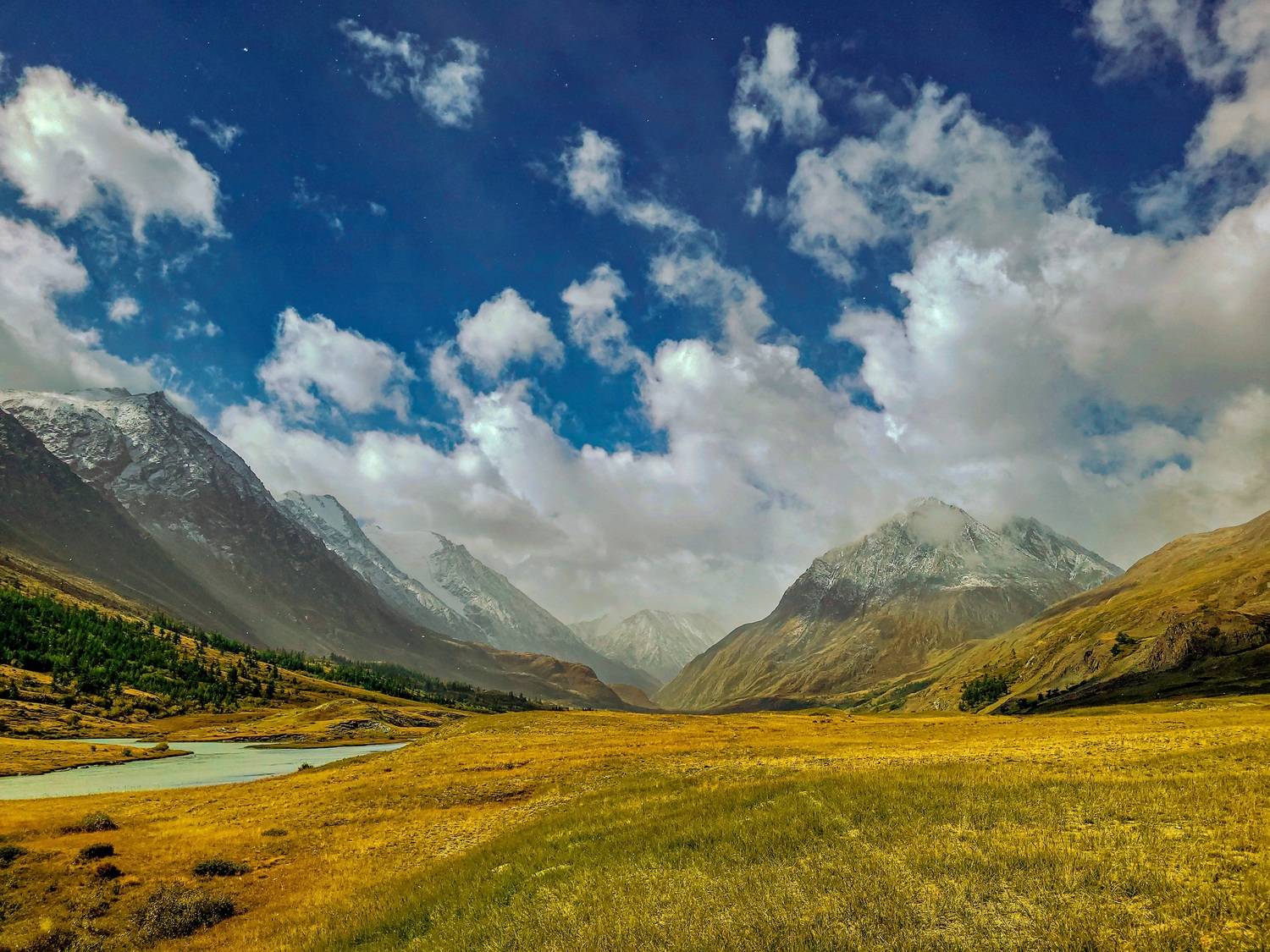 , Владимир Каверин