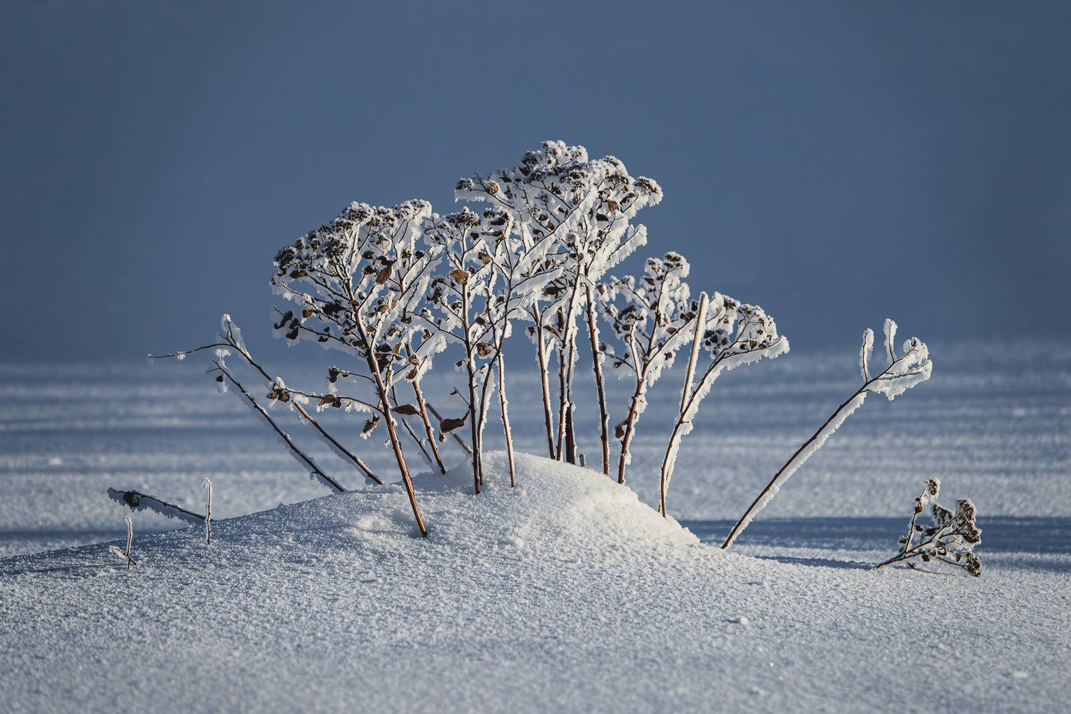 , Андрей Иванов
