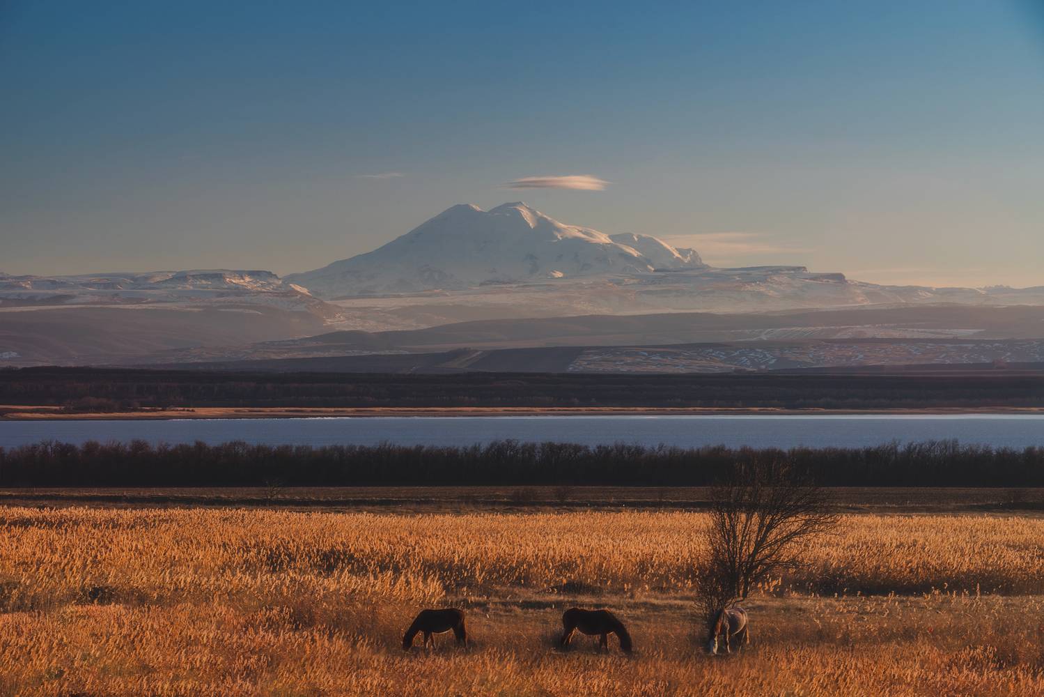 , Романский Владимир (NikonZoom)