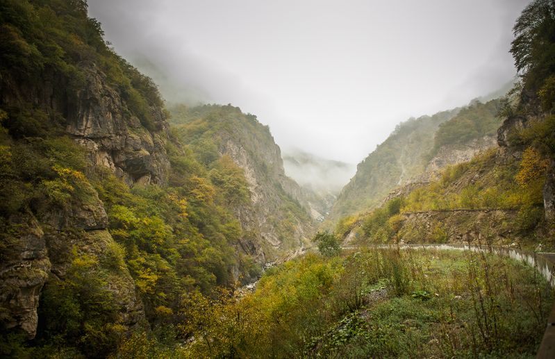 Сентябрьские дни фото превью