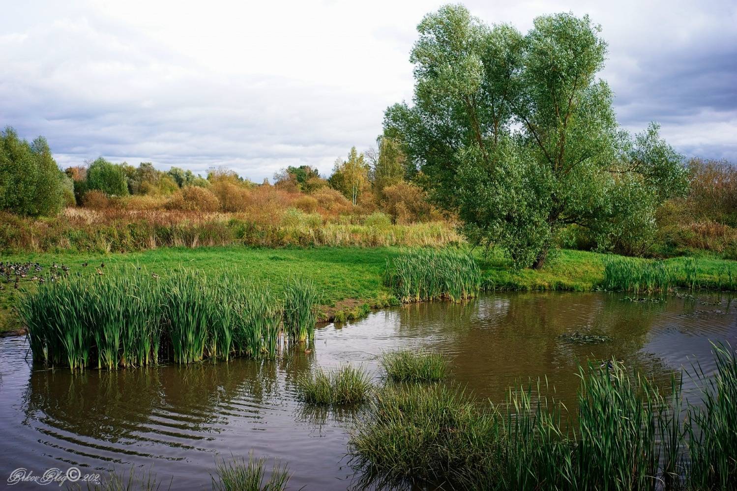 , Орлов Олег