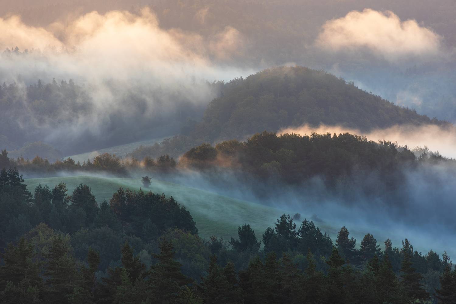 ,  Mirosław Pruchnicki