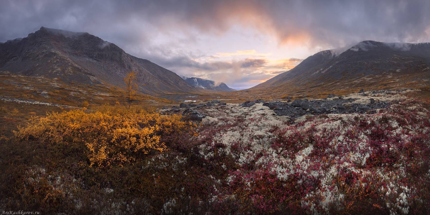 хибины, кольский, тундра, малая белая, долина, горы, мурманская область, арктика, Арсений Кашкаров