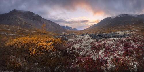 Хибинские тундры