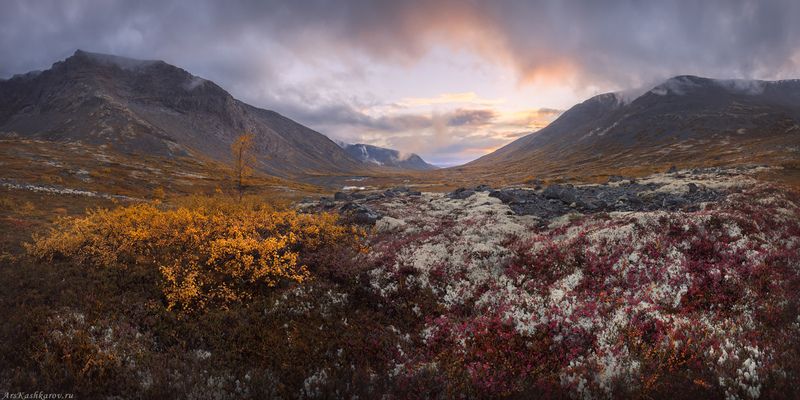 хибины, кольский, тундра, малая белая, долина, горы, мурманская область, арктика Хибинские тундры фото превью