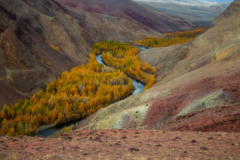Ущелье р. Кызыл-Шин фото превью
