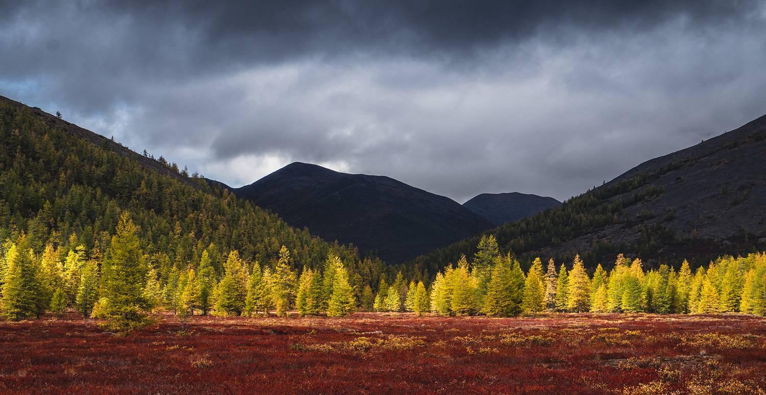 , Андреев Николай