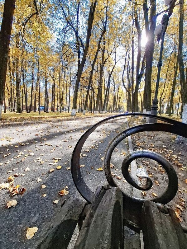 Прогулки по осеннему парку... фото превью