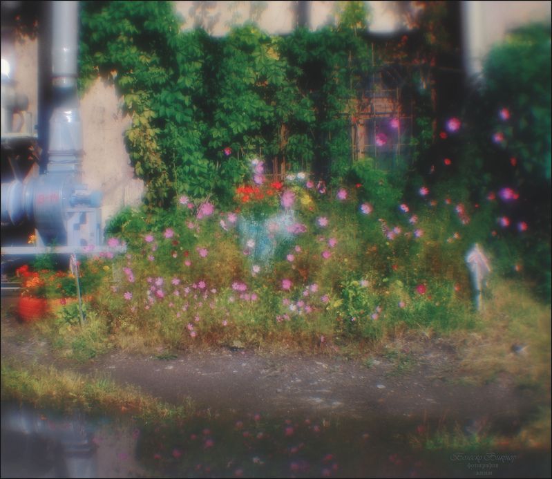 монокль, индустар-50, artрhoto, manuallens, художественное фото Заводской цветник фото превью